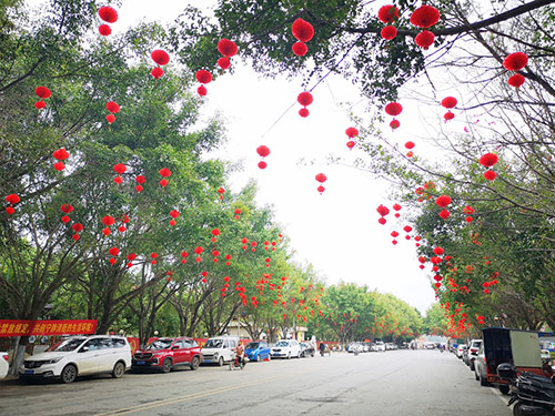 广场路两旁挂满小灯笼。