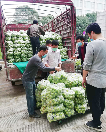 市民政局党员干部卸载搬运订购的青枣。