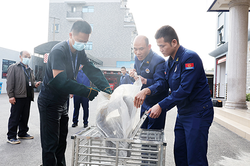 果园惊现大蟒蛇  消防员捕获后放生