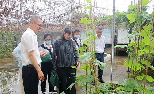 研讨组参观特校劳动教育种植基地。