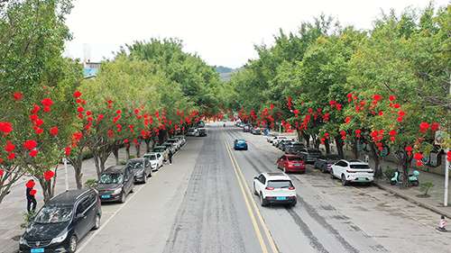 广场路大红灯笼高挂。（黄永福　摄）