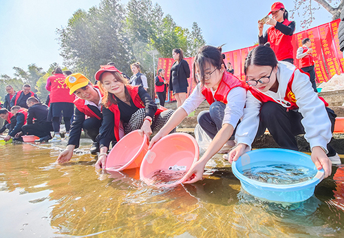 爱心人士在那元村渡忑屯码头放流鱼苗。（陈建倬　摄）