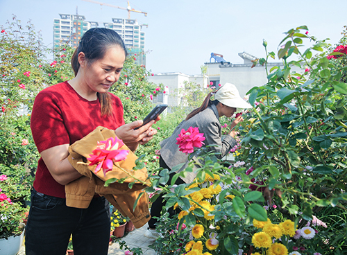 花友参观。