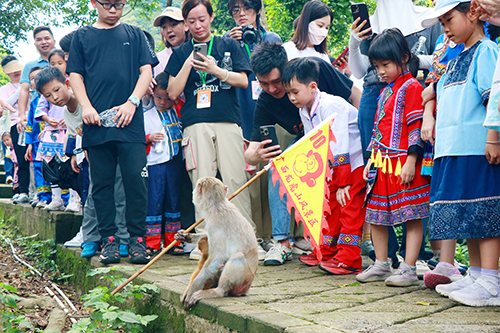 小朋友和家长们在观察猕猴。