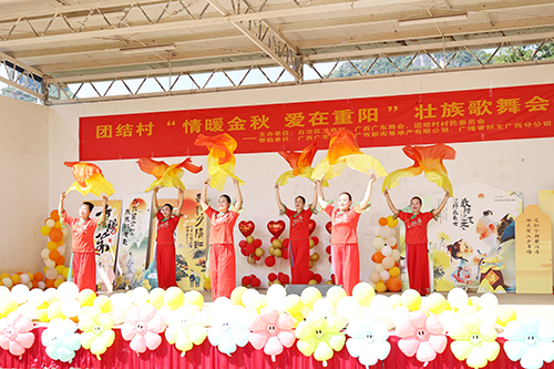 团结村重阳节文艺演出活动精彩纷呈。（许嘉佳　摄）
